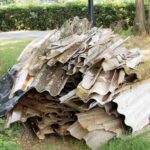 Asbestos Pickup in Brisbane - What Happens After You Call Us