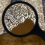 Asbestos Roof Disposal Brisbane- Cost, Process and Timeline