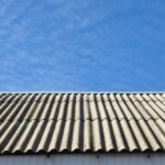 Pro Asbestos (70)