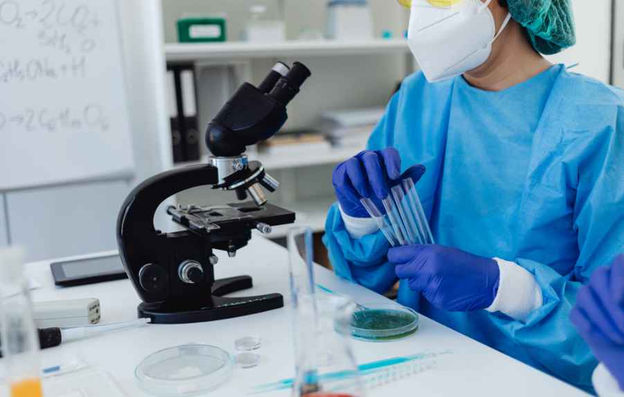 Stay Safe With Professional Industrial Asbestos Testing in Brisbane